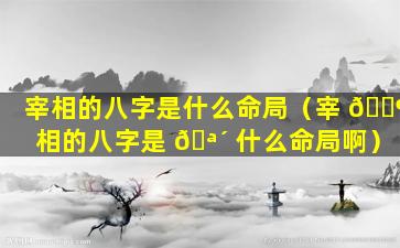 宰相的八字是什么命局（宰 🐶 相的八字是 🪴 什么命局啊）